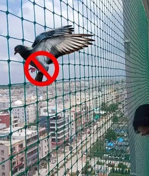Pigeon Safety Nets Chennai