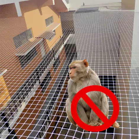 Monkey Net for Balconies Chennai
