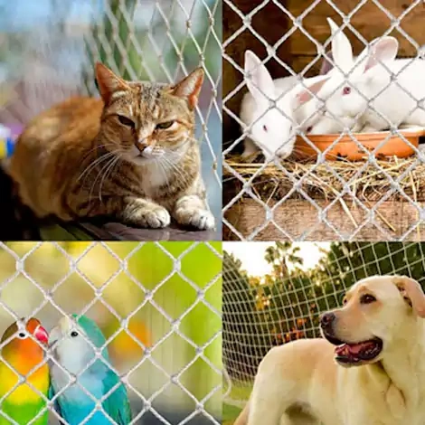 Pets Safety Nets Chennai